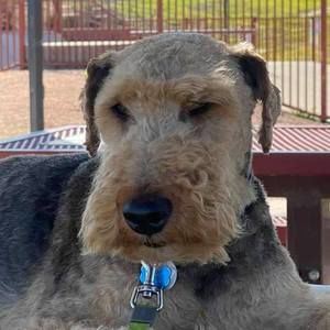 Meet your Posher, Walter